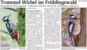 WLZ: Trommelwirbel im Frühlingswald